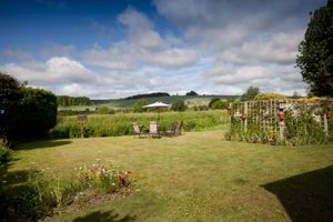 View from Ground Level Summer- click for photo gallery